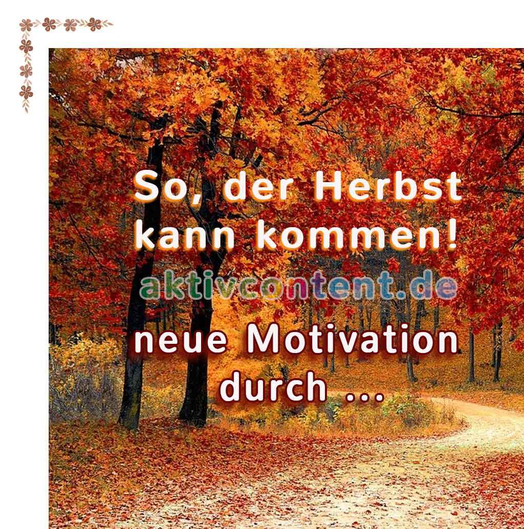 2. November neu Content, 2 Sprüche, Weisheiten und Zitate Texte