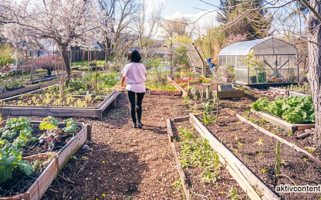Permakultur Garten im März: 2024 voller Ernte