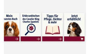 cavalier king charles spaniel faq