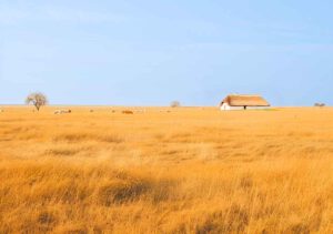 Gästehaus in der Puszta